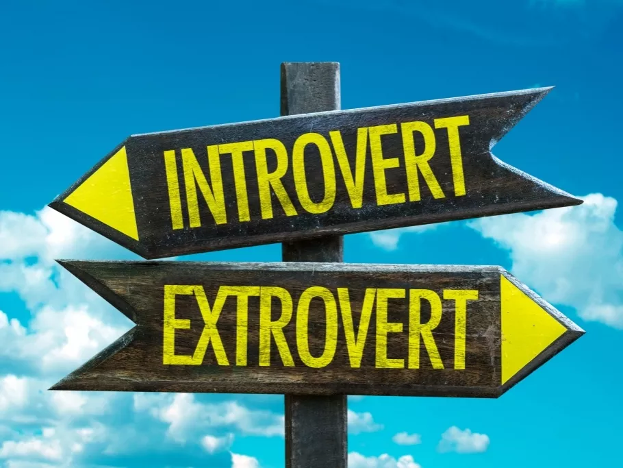 Introvertált és extrovertált egy teamben: így oldjuk fel a feszültségeket!