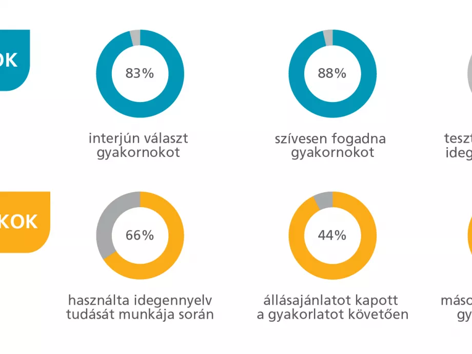 A gyakornokságból egyenes út vezet az állásajánlatig
