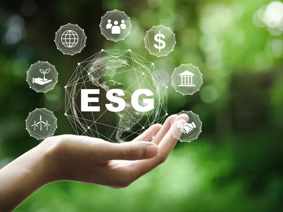 Aki most befektet az ESG-be, az versenyelőnyt nyerhet