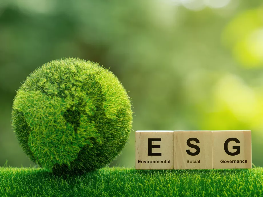 A vállalatok harmada érzi késznek magát az ESG tanúsításra