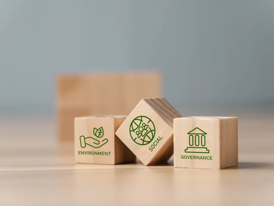 Az új ESG-törvény január 1-jétől lép hatályba