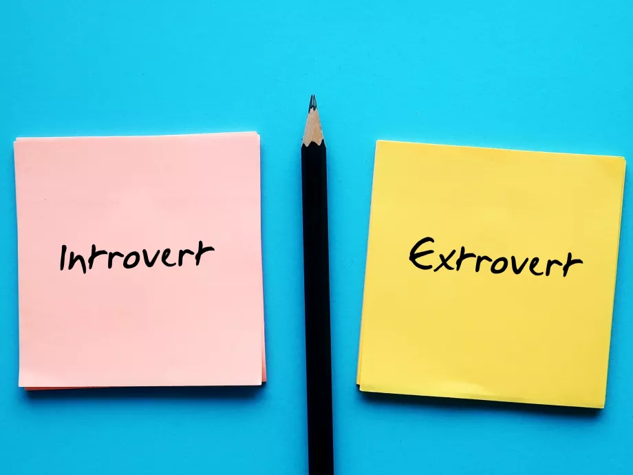 Se nem extrovertált, se nem introvertált: üdv az ambivertáltak világában!