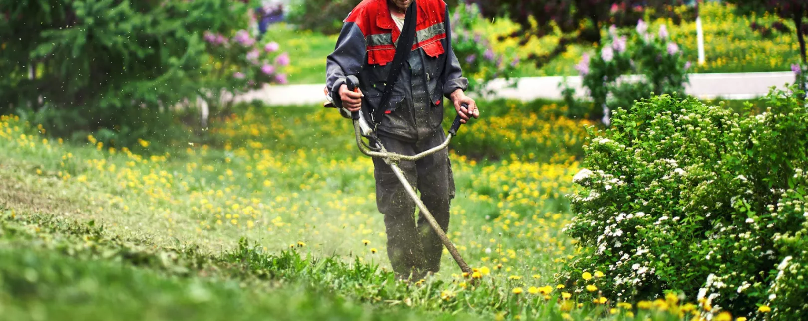 hero