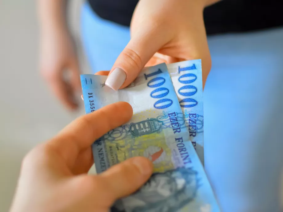 Egy kutatás szerint a magyar családok kétharmada megtervezi a pénzügyeit