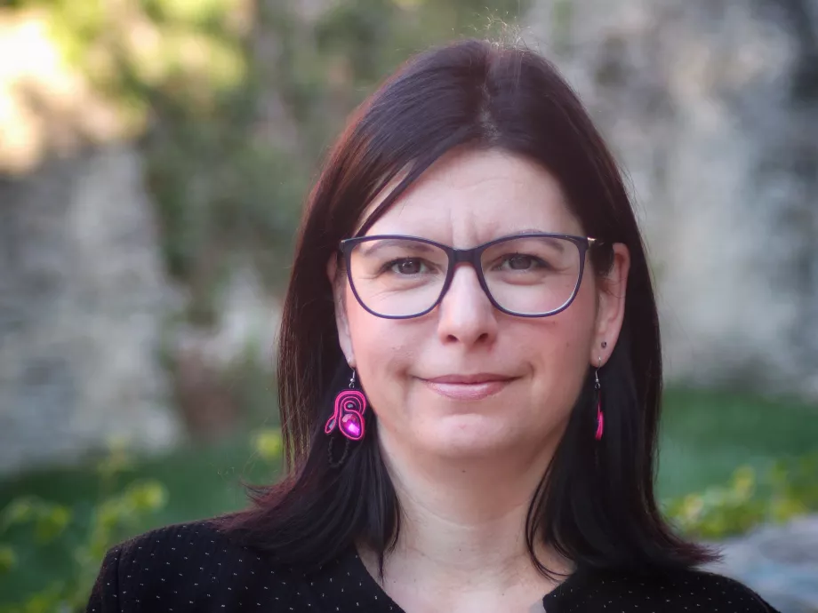 Hogyan boldogul egy magyar szakember a dán munkaerőpiacon?